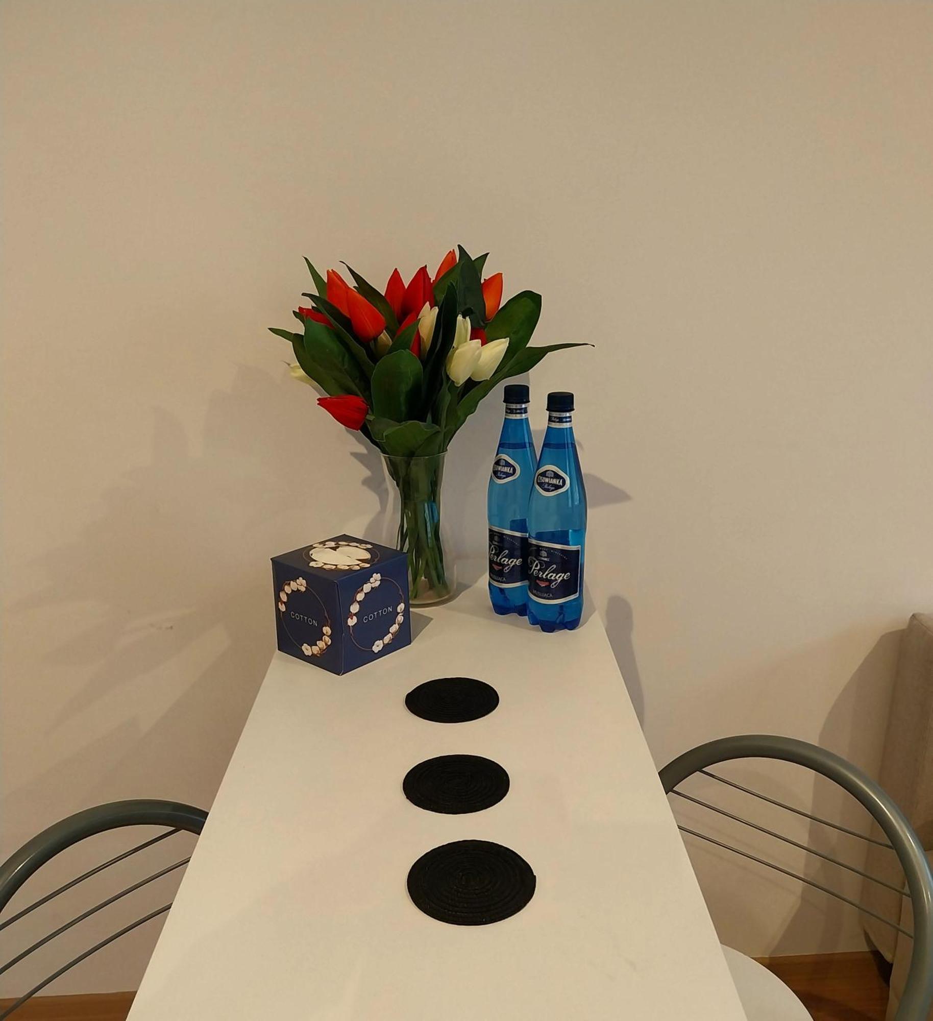 Apartament Srodmiescie פז'מיסל מראה חיצוני תמונה
